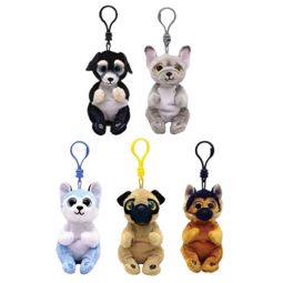 TY Beanie Baby (Beanie Bellies) - SET OF 5 DOGS (Izzy, Ranger, Ace +2)(Plastic Key Clips)