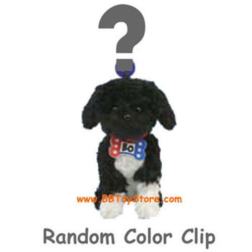TY Beanie Baby - BO the Portuguese Water Dog (Key Clip) (Random)