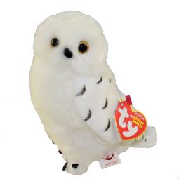 TY Beanie Baby - KNOWLEDGE the Snowy Owl (Borders Exclusive) (6 inch)