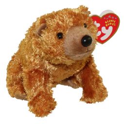 TY Beanie Baby - SEQUOIA the Brown Bear (5 inch)