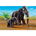 Playmobil Stone Age Playmobil Stone Age