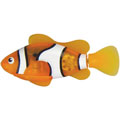 Robo Fish - My Pet Fish - ORANGE CLOWN FISH (3 inch)