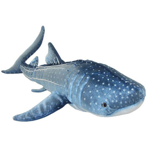 adventure planet shark