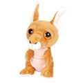 Planet Pals (Cuddly Animals with Big Eyes)