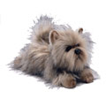 Russ Plush - Yomiko Classics - CAIRN TERRIER (11 inch)