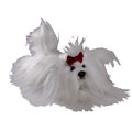 Russ Plush - Yomiko Classics - MALTESE (11 inch)