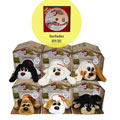 Russ - Pound Puppies