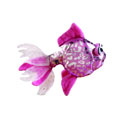 Lil'Kinz Virtual Pet Plush - PINK GLITTER FISH