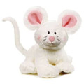 Webkinz JR Virtual Pet Plush - MOUSE ( 9 inch )