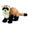 webkinz black footed ferret