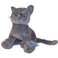 Webkinz Virtual Pet Plush - CHARCOAL CAT (8.5 inch)
