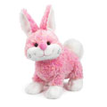 Webkinz Virtual Pet Plush - CHEEKY BUNNY (8.5 inch)