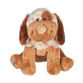 Webkinz Virtual Pet Plush - CHOCO CHEEKY DOG (Pre-Order ships June)