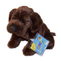 Webkinz Virtual Pet Plush - CHOCOLATE LAB (Retired)