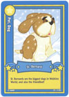 Webkinz Trading Card - B1-11/80 - ST. BERNARD (common)