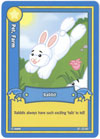 Webkinz Trading Card - B1-23/80 - RABBIT (common)