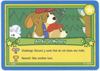 Webkinz Trading Card - C1-02/15 - AN AIR OF MYSTERY (challenge)