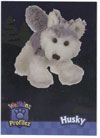 Webkinz Trading Card - PP3-05/10 - HUSKY ( Profilez - Holo-Foil)