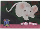 Webkinz Trading Card - PP3-06/10 - WHITE MOUSE ( Profilez - Holo-Foil)