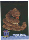 Webkinz Trading Card - PP3-08/10 - TIGER SNAKE ( Profilez - Holo-Foil)
