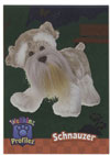 Webkinz Trading Card - PP3-10/10 - SCHNAUZER ( Profilez - Holo-Foil)