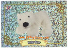 Webkinz Trading Card - SP3-05/08 - POLAR BEAR (Sparkle Sticker Card)