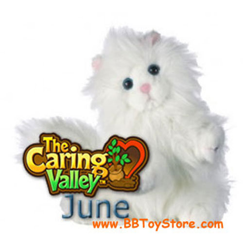 Webkinz Virtual Pet Plush - PERSIAN CAT ( w/ Green Caring Valley Tag)