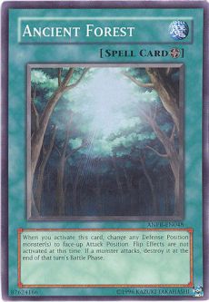 Yu-Gi-Oh Card - ANPR-EN048 - ANCIENT FOREST (super rare holo)