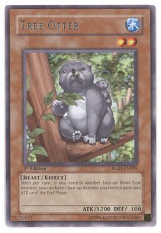 Yu-Gi-Oh Card - RGBT-EN095 - TREE OTTER (rare)