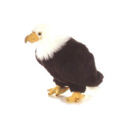 Aurora World Plush - REGAL EAGLE (10.5 inch)