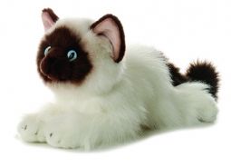 Aurora World Plush - Flopsie - BELLA the Birman Cat (12 inch)