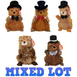 TY Beanie Babies - Mixed Lot of 5 Punxsutawney Phils Groundhogs (All Different) TY Beanie Babies - Mixed Lot of 5 Punxsutawney Phils Groundhogs (All Different)