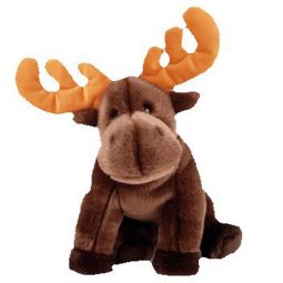 TY Beanie Buddy - CHOCOLATE the Moose (10 inch)