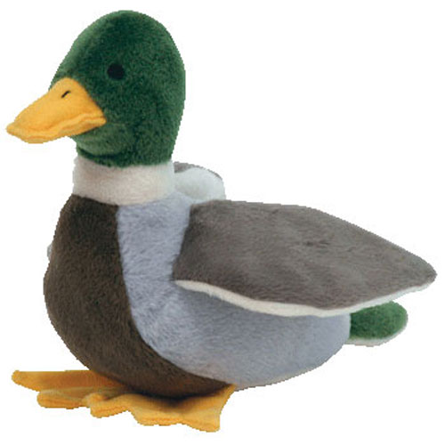 mallard duck beanie baby