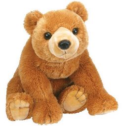 TY Classic Plush - CAMPER the Bear (9.5 inch)