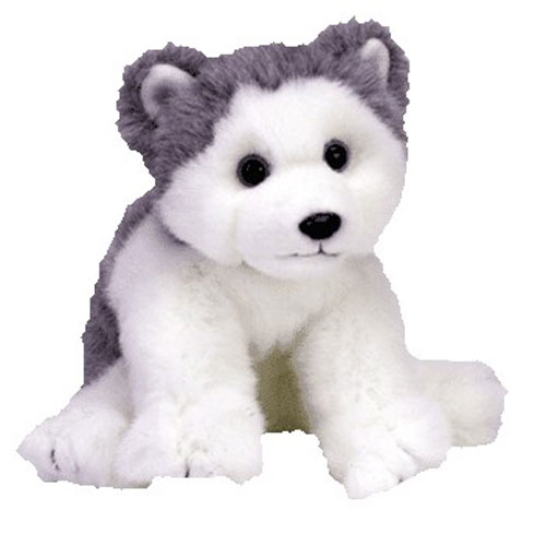 TY Classic Plush - DAKOTA the Husky Dog (8 inch)