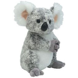 TY Classic Plush - OUTBACK the Koala (9 inch)