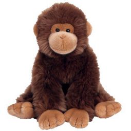 TY Classic Plush - TOPANGA the Monkey (9.5 inch)