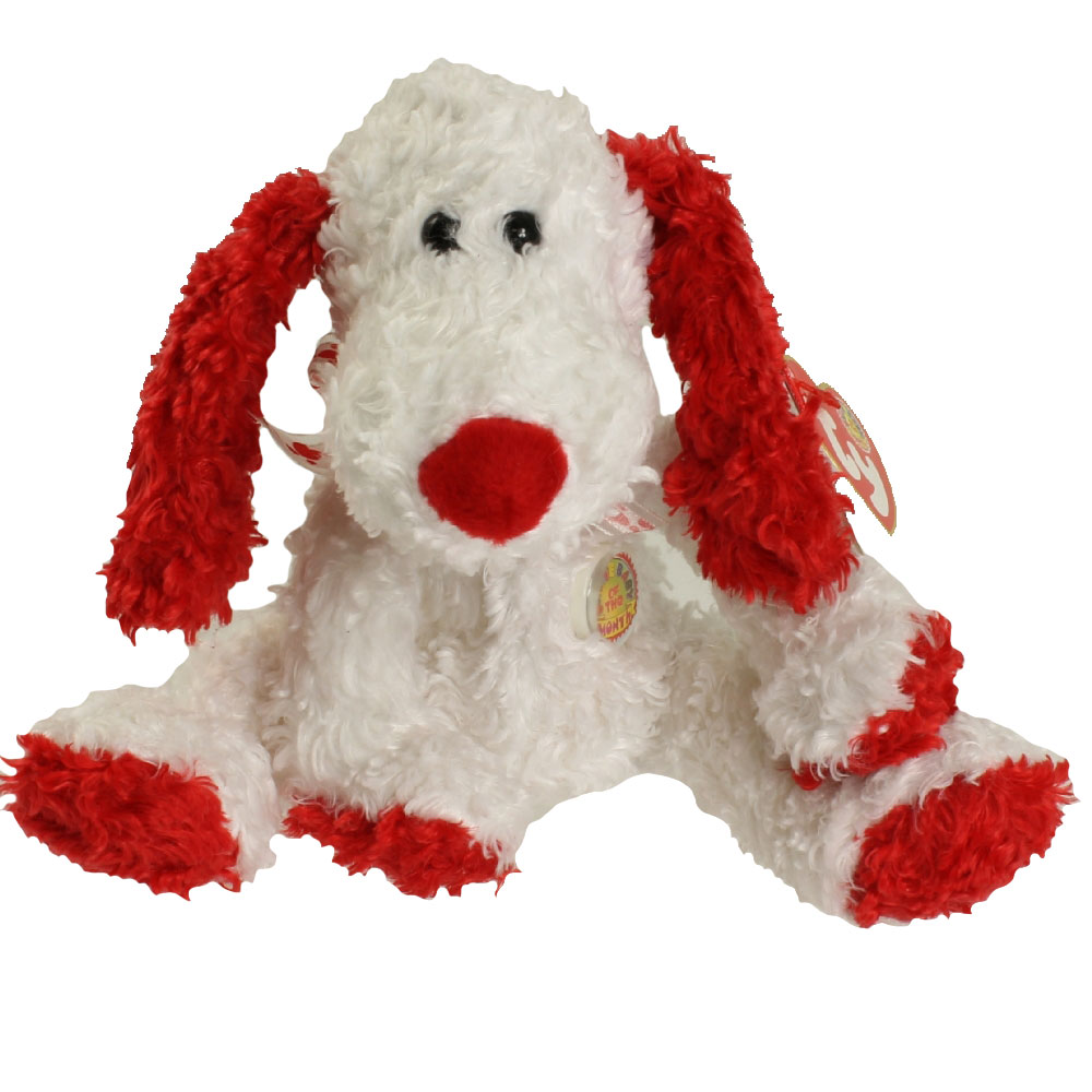 TY Beanie Baby - ADONIS the Dog (BBOM February 2005) (9 inch)