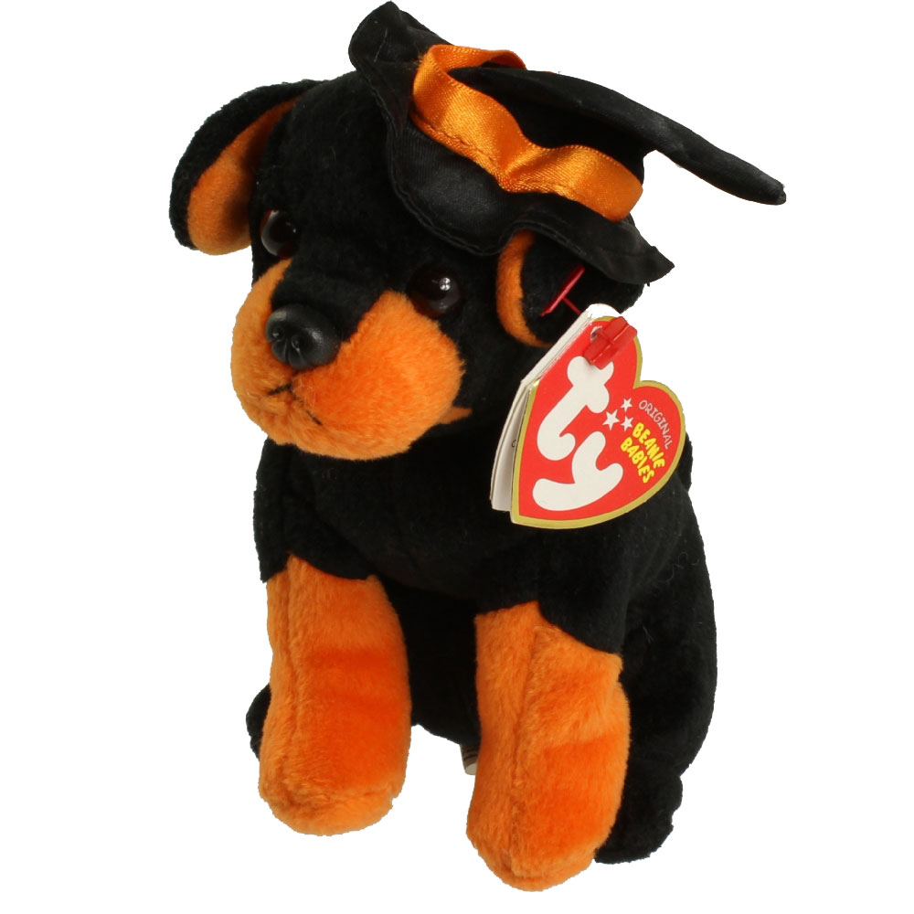 TY Beanie Baby - ALACAZAM the Halloween Dog (7.5 inch)