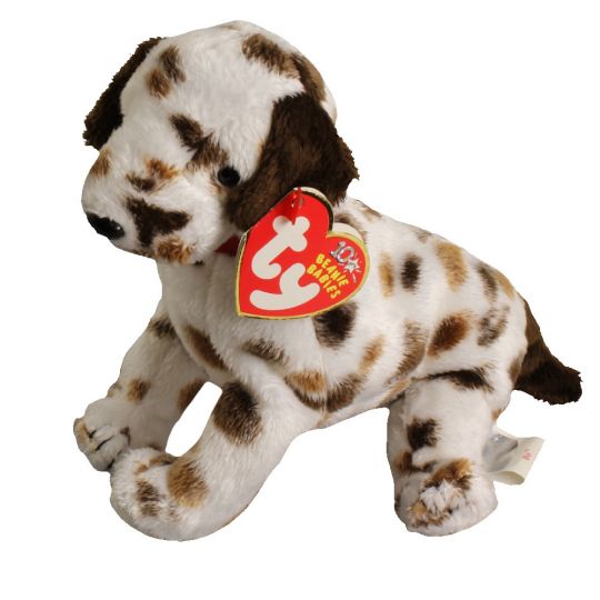 Ty Beanie Teeny Tys stackable SPANGLE the Dalmatian Dog NEW ****retired**** 