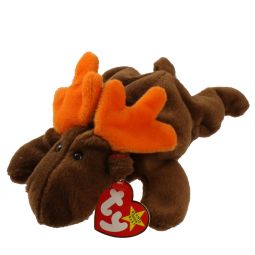 TY Beanie Baby - CHOCOLATE the Moose (9 inch)