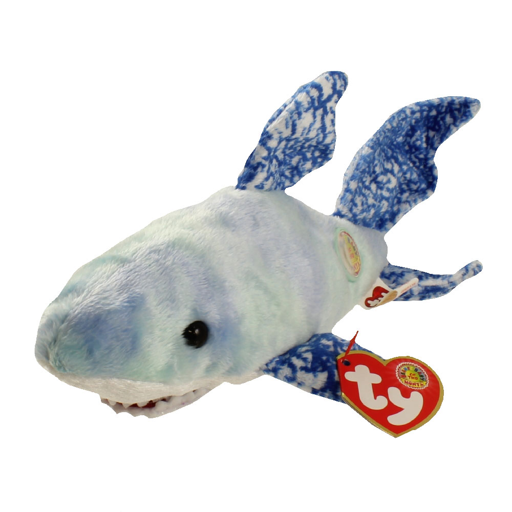 TY Beanie Baby - CHOMPERS the Shark (BBOM August 2004) (7.5 inch)