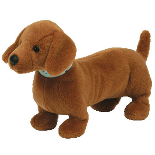 Dogs & Puppies