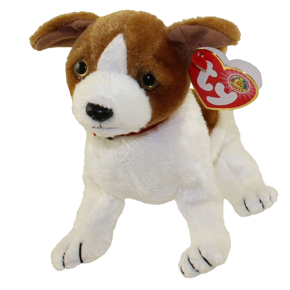 TY Beanie Baby - KIPPY the Dog (BBOM September 2003) (6 inch)