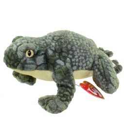 TY Beanie Baby - PONDER the Frog (6 inch)