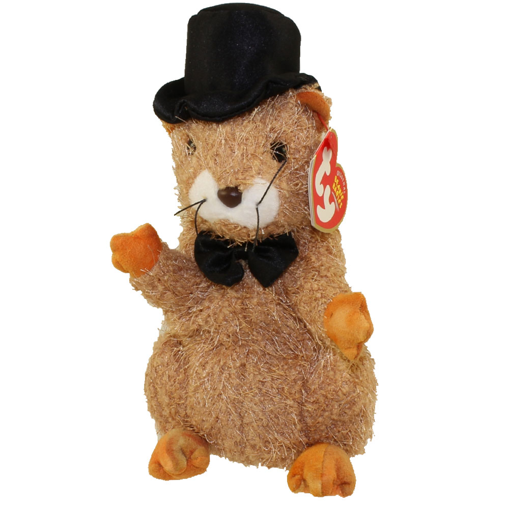 TY Beanie Baby - PUNXSUTAWN-e PHIL 2004 the Groundhog (Internet Exclusive) (7 inch)