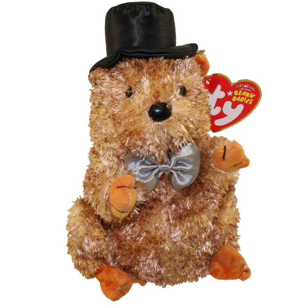 TY Beanie Baby - PUNXSUTAWN-e PHIL 2008 the Groundhog (Internet Exclusive) (6 inch)