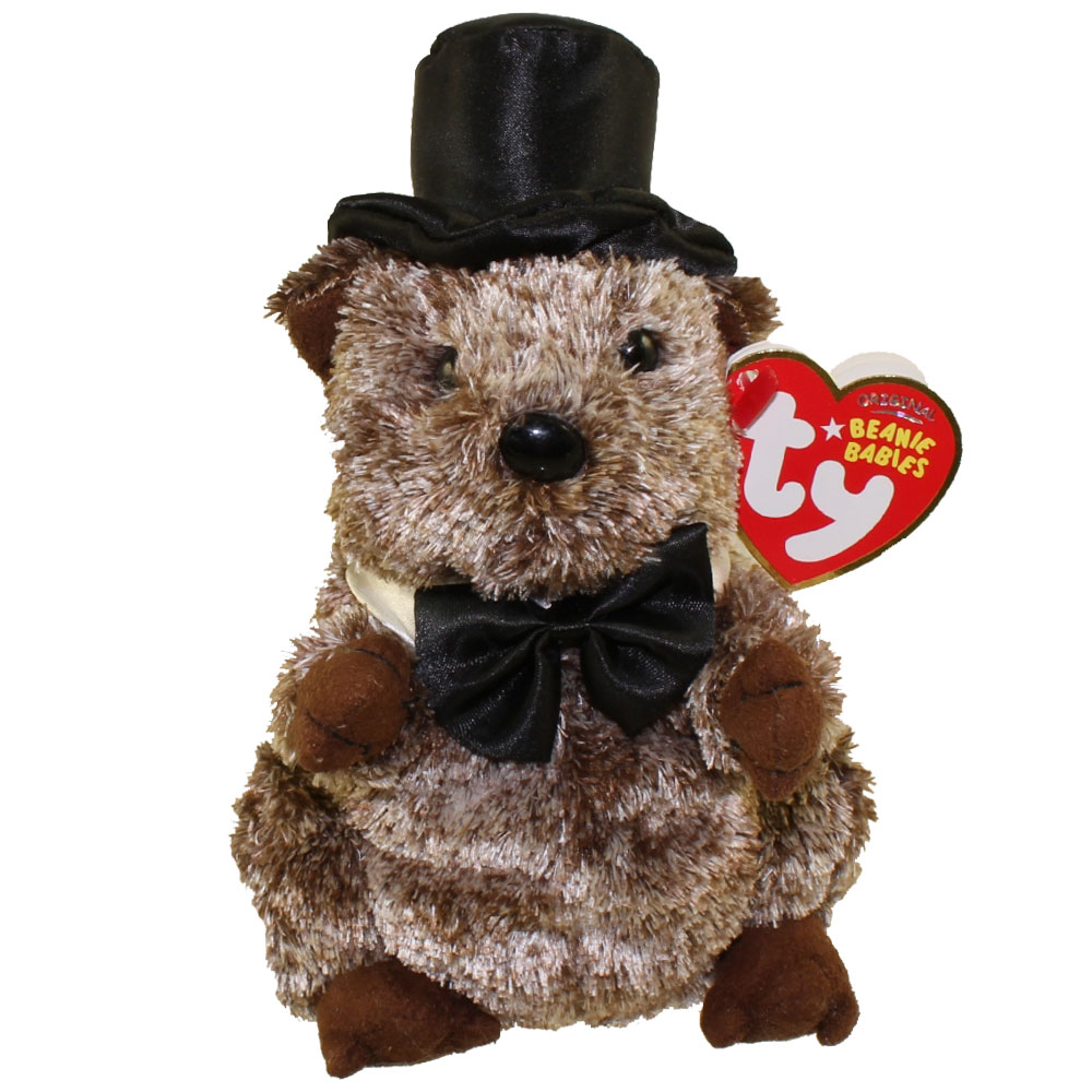 TY Beanie Baby - PUNXSUTAWNEY PHIL 2008 the Groundhog (6.5 inch)