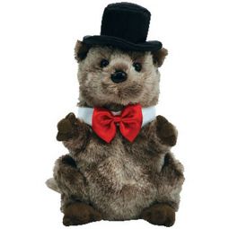 TY Beanie Baby - PUNXSUTAWNEY PHIL 2008 the Groundhog (Chamber of Commerce Exclusive) (6.5 inch)